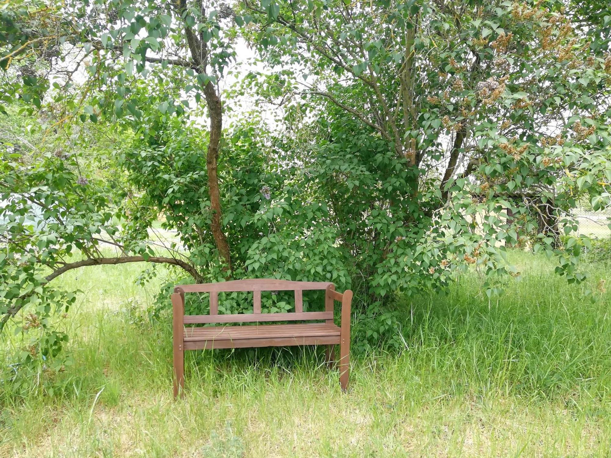Ehemalige Bibliothek Apartment Fuer 2 Mit Kueche Kamin Netflix Parken Und Hofladen Steinhofel Εξωτερικό φωτογραφία